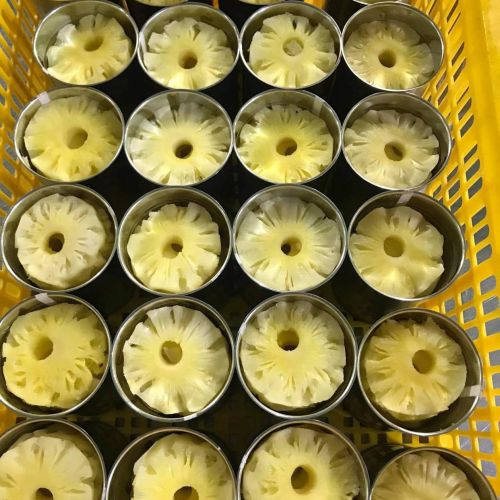 VIETNAM PRODUCES CANNED PINEAPPLE FOR EXPORT 