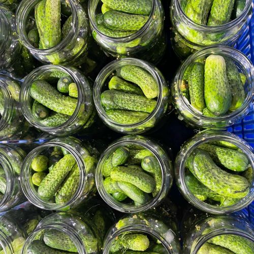 The Art of Pickling Cucumbers: Unveiling the Process for Delicious Results
