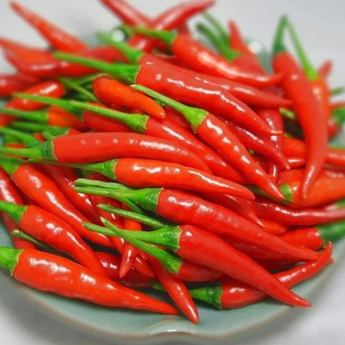 BENEFITS OF CHILI