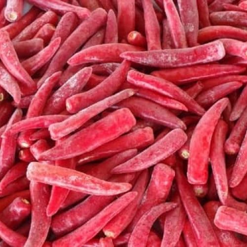 Frozen Chili