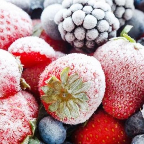 FREEZING PROCESS AND FROZEN FOODS