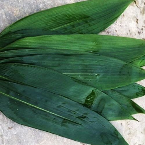 Why do Japan and Korea import a lot of bamboo leaves and banana leaves from Vietnam?