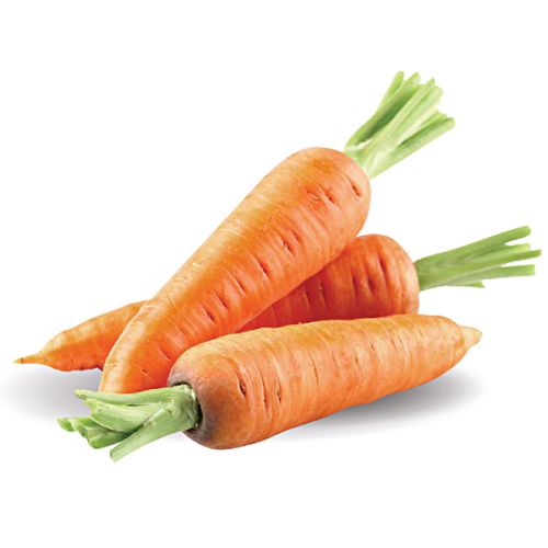 Carrot