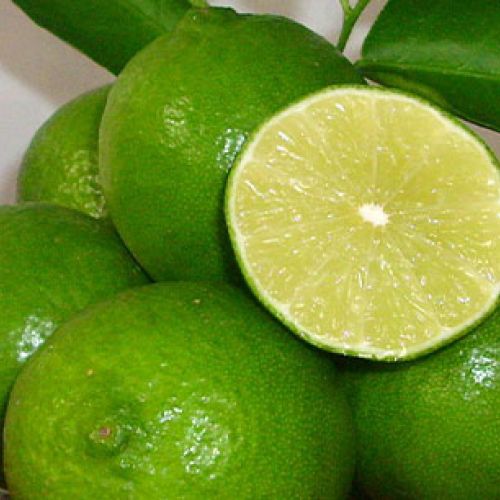 Lime seedless