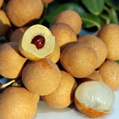 Longans in Vietnam: A Sweet Summer Delight with Rich Health Benefits