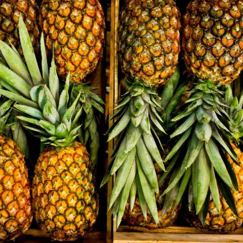 Health Potential of Pineapple: 8 Scientifically Proven Benefits