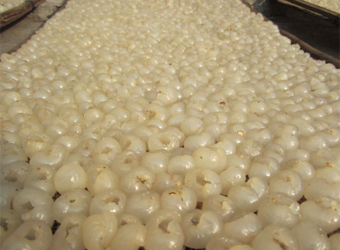 Preliminary-processing-of-longan-flesh-before-canning