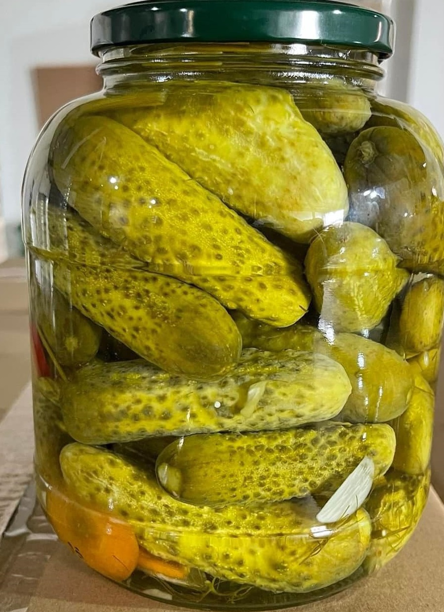canned cucumber ghenkin picked_1