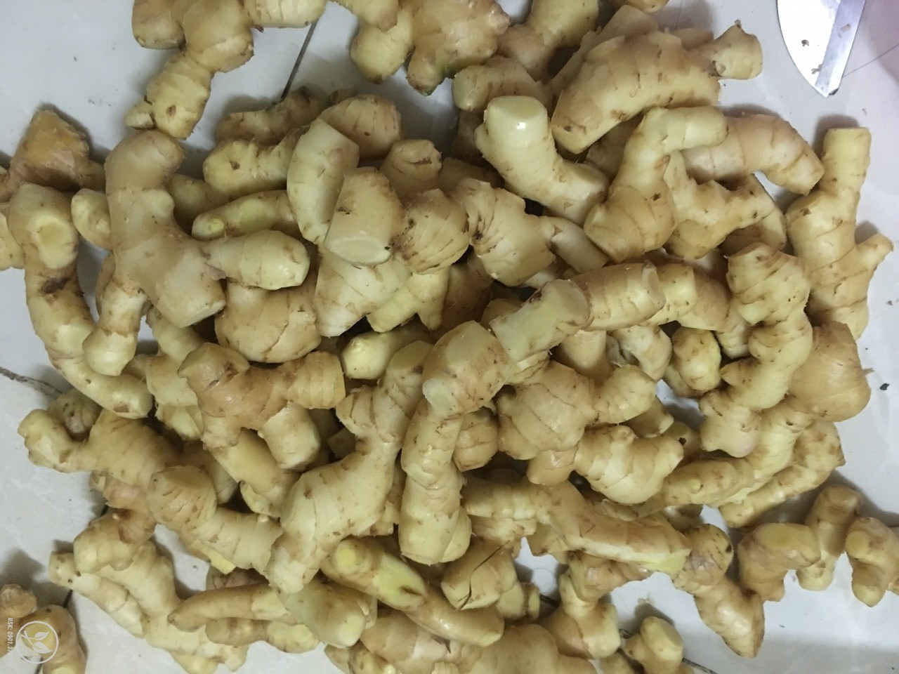 VIETNAM-GINGER (2)