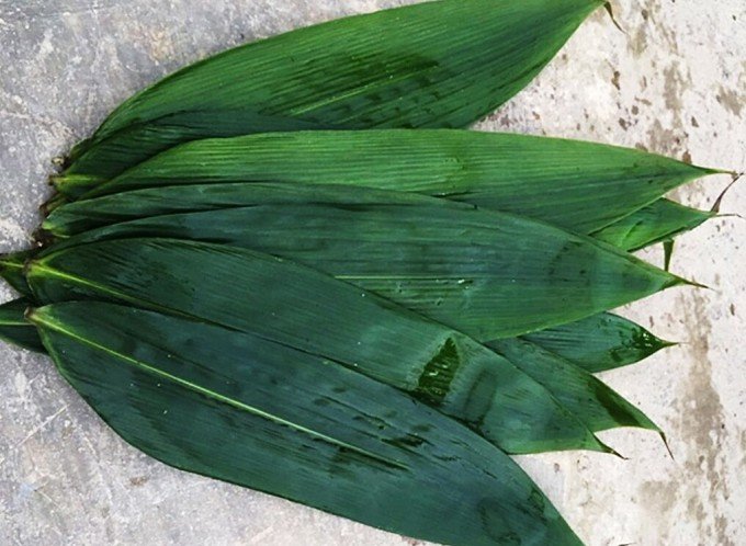 bamboo-leave-zongzi-leaf