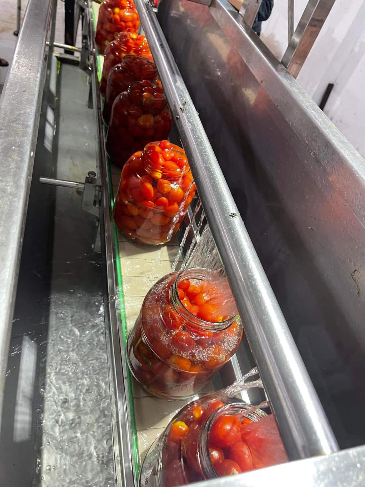 canned-tomatoes