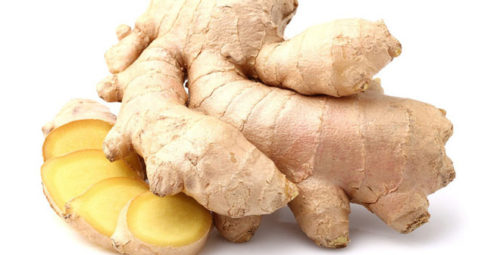 ginger vn