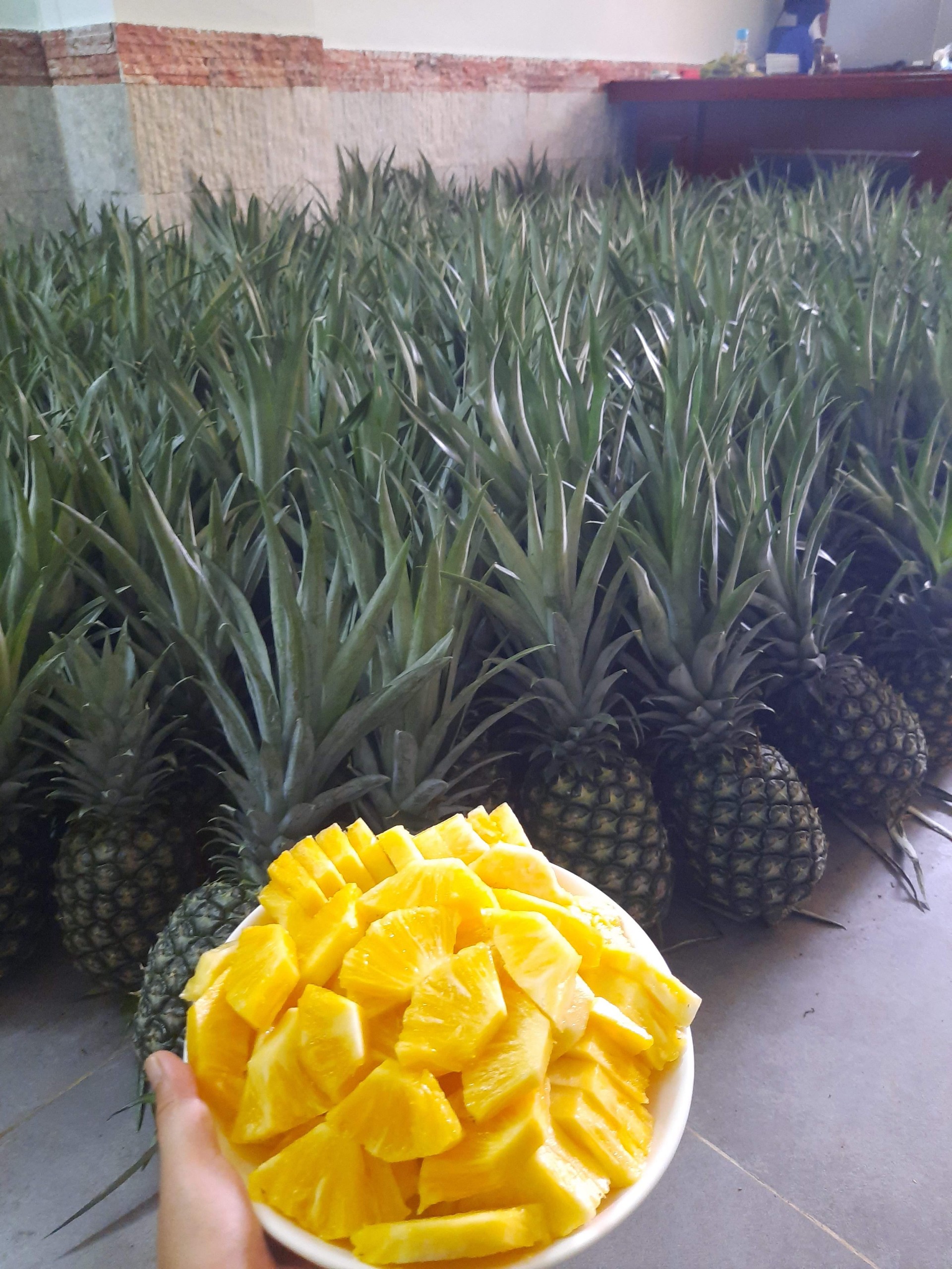 md2 pineapple