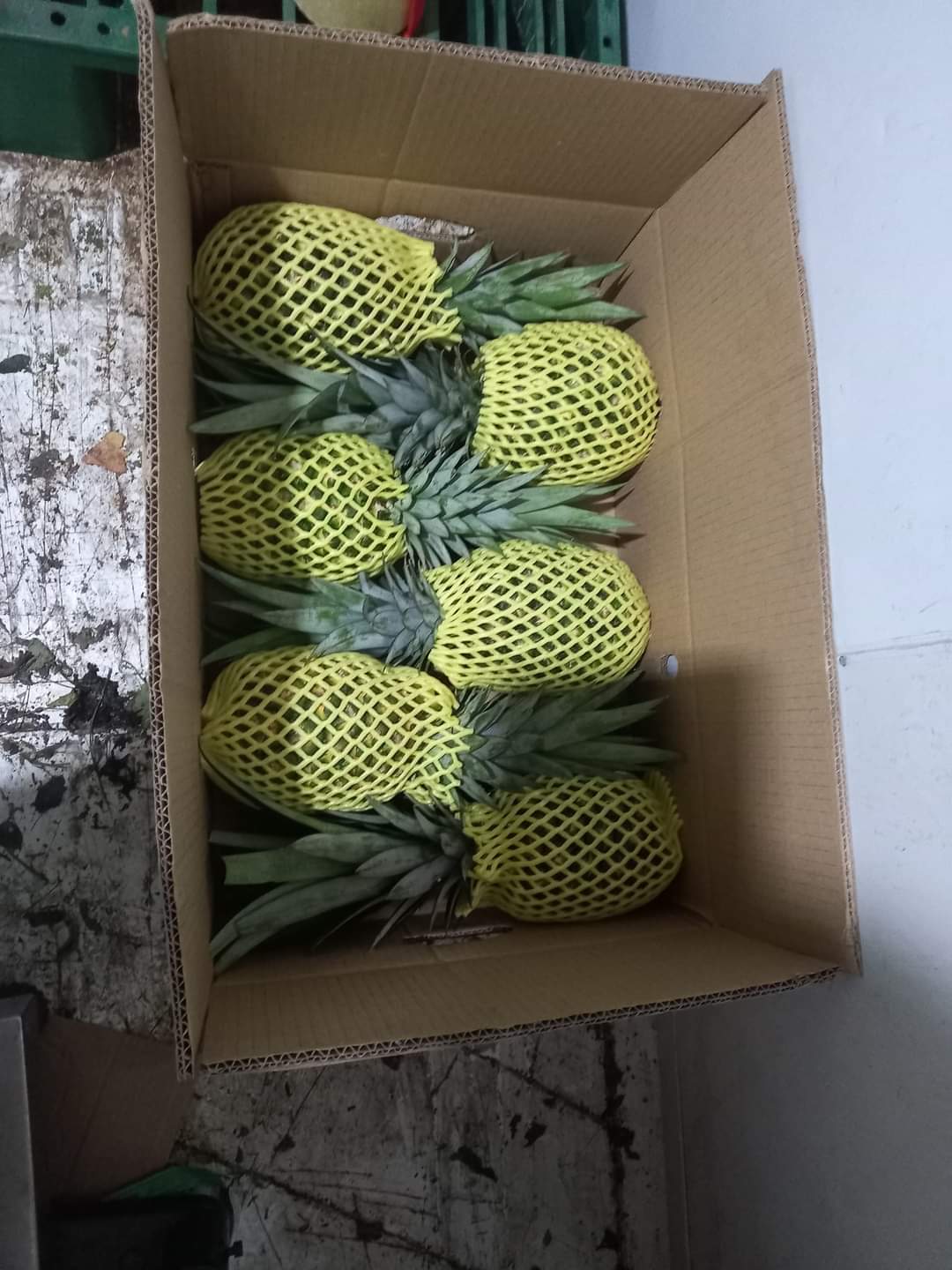 packing pineapple