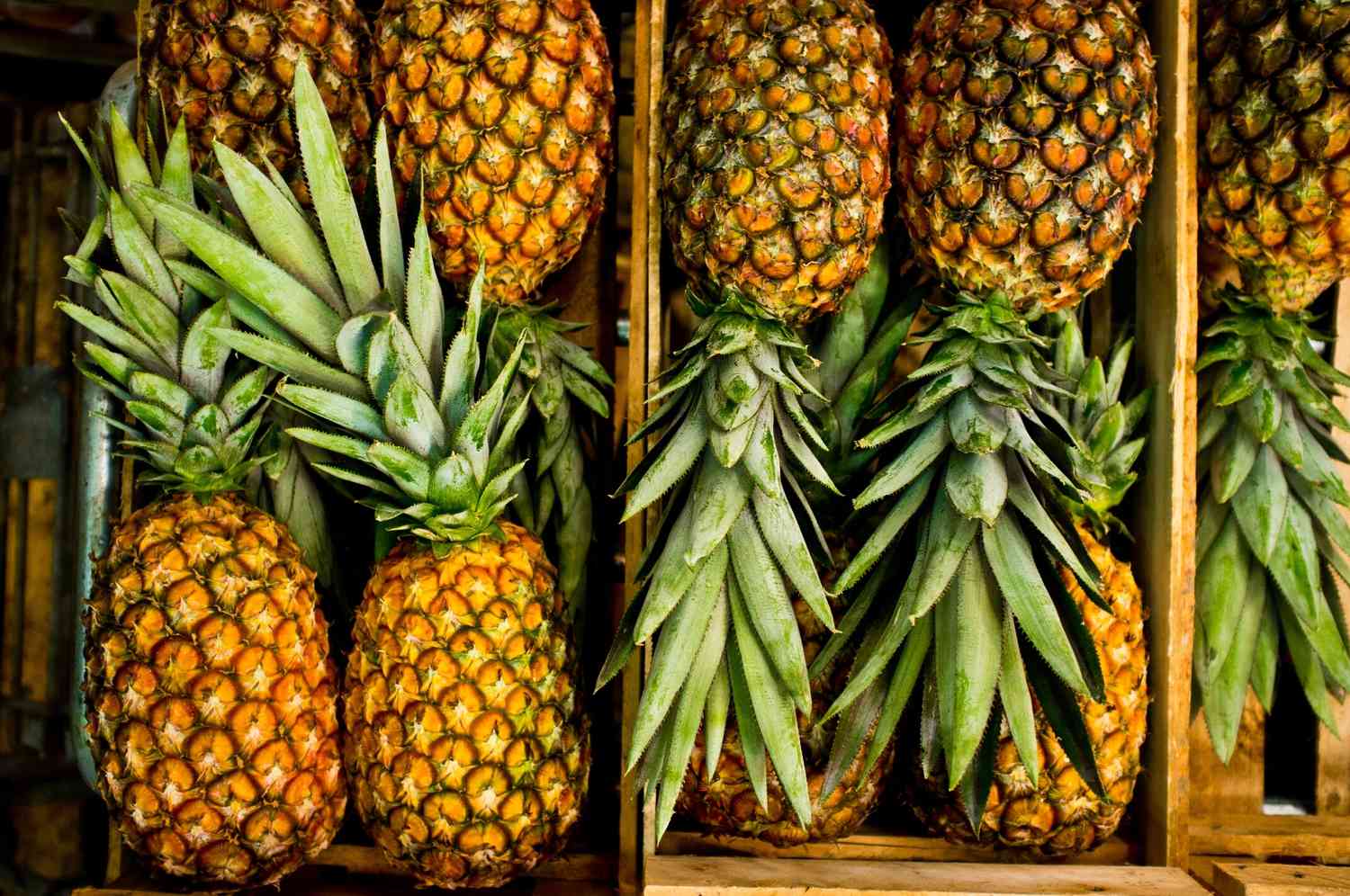 pineapple