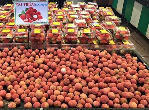 vietnam-lychee1